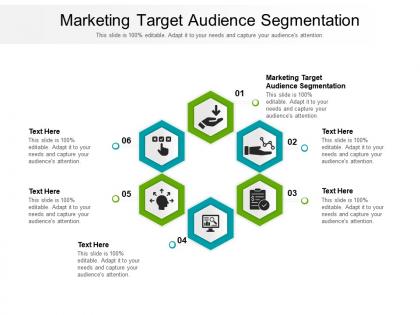 Marketing target audience segmentation ppt powerpoint presentation ideas graphics example cpb