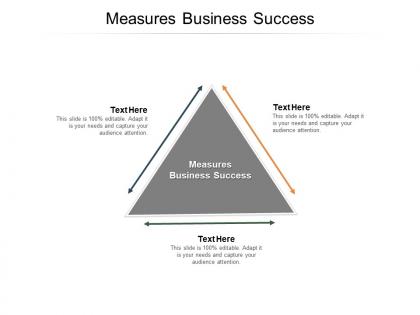 Measures business success ppt powerpoint presentation styles microsoft cpb