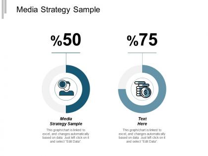 Media strategy sample ppt powerpoint presentation infographics tips cpb