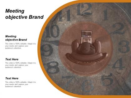 Meeting objective brand ppt powerpoint presentation file slide download cpb