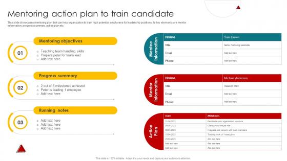 Mentoring Action Plan To Train Candidate Talent Management And Succession