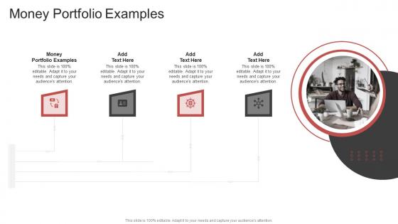 Money Portfolio Examples In Powerpoint And Google Slides Cpb