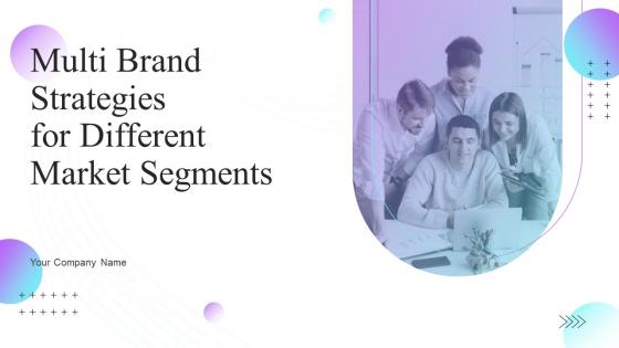 Multi Brand Strategies For Different Market Segments Branding CD