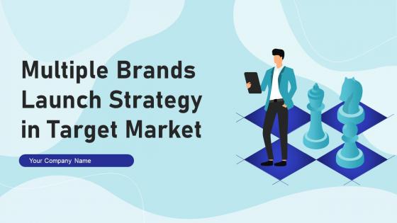 Multiple Brands Launch Strategy In Target Market Branding CD V