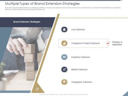 Multiple types of brand extension strategies line ppt powerpoint presentation styles objects