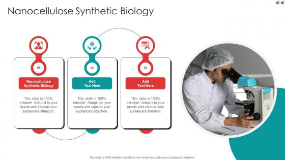 Nanocellulose Synthetic Biology In Powerpoint And Google Slides Cpp