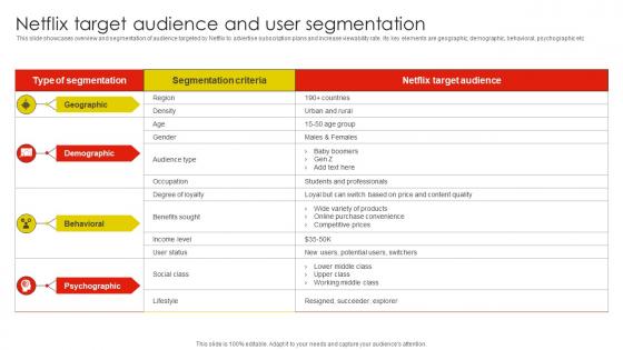 Netflix Target Audience And User Netflix Email And Content Marketing Strategy SS V