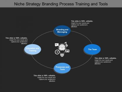 Niche strategy branding process training and tools