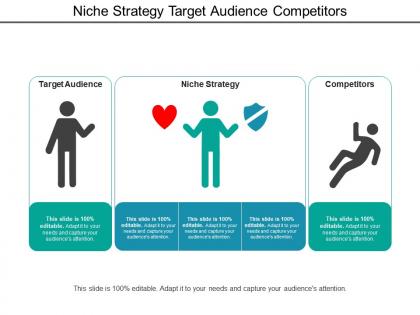 Niche strategy target audience competitors