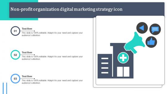 Non Profit Organization Digital Marketing Strategy Icon