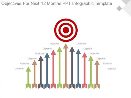 Objectives for next 12 months ppt infographic template