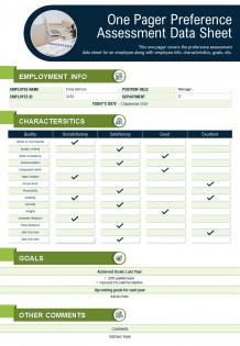 One pager preference assessment data sheet presentation report infographic ppt pdf document