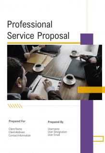 One pager professional service proposal template