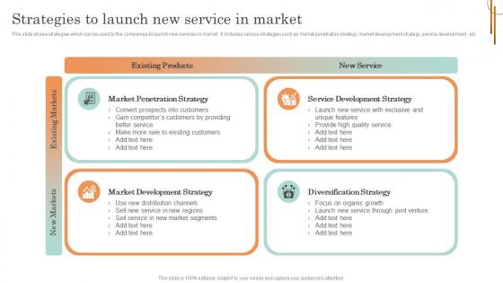 Online Service Marketing Plan Strategies To Launch New Service In Market