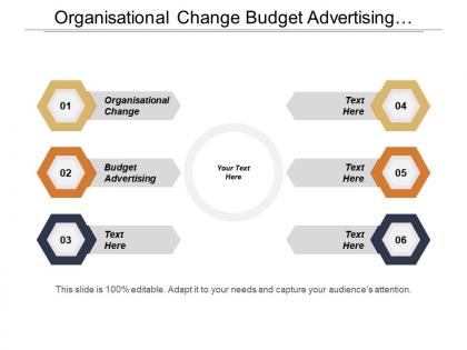 Organisational change budget advertising investment projects venture capital