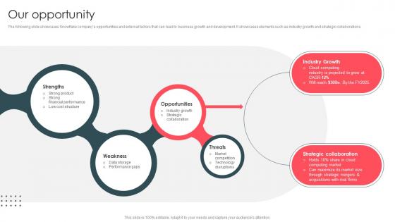 Our Opportunity Data Analytics And Storage Company Profile CP SS V