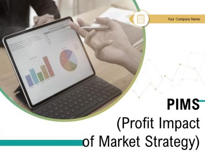 PIMS Profit Impact Of Market Strategy Elements Service Structure