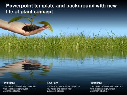 Powerpoint template and background with new life of plant concept