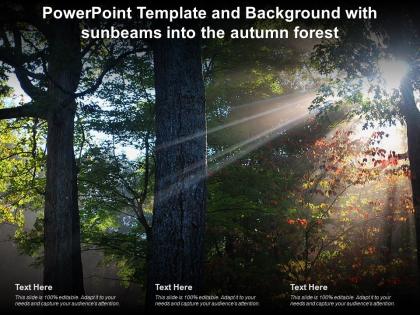 Powerpoint template and background with sunbeams into the autumn forest