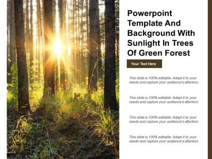 Powerpoint template and background with sunlight in trees of green forest