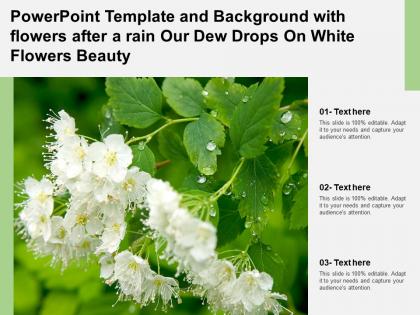 Powerpoint template with flowers after a rain our dew drops on white flowers beauty