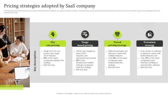 Pricing Strategies Adopted By Saas Company State Of The Information Technology Industry MKT SS V