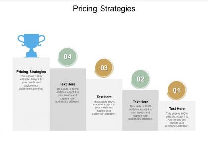 Pricing strategies ppt powerpoint presentation ideas outline cpb