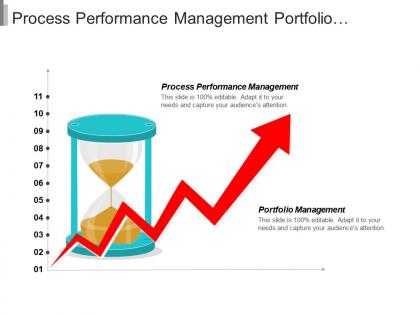 Process performance management portfolio management product pricing strategies cpb