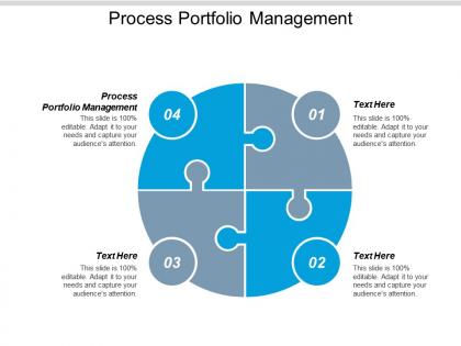 Process portfolio management ppt powerpoint presentation model background designs cpb