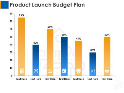 Product launch budget plan ppt layouts designs download