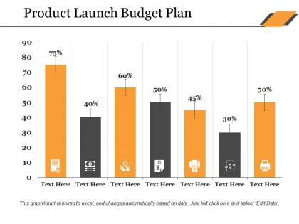 Product launch budget plan ppt show