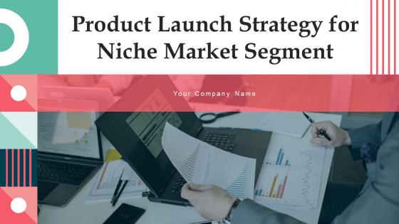 Product Launch Strategy For Niche Market Segment Powerpoint Presentation Slides Strategy CD V