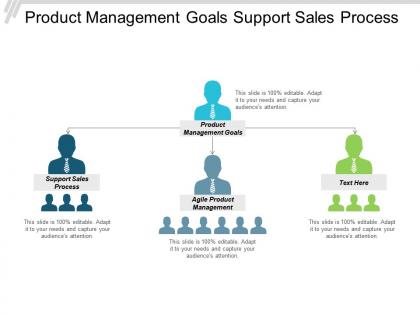 Product management goals support sales process agile product management cpb