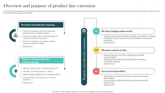 Product Marketing And Positioning Strategy Overview And Purpose Of Product Line Extension MKT SS V