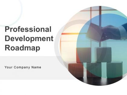 Professional Development Roadmap Powerpoint Presentation Slides