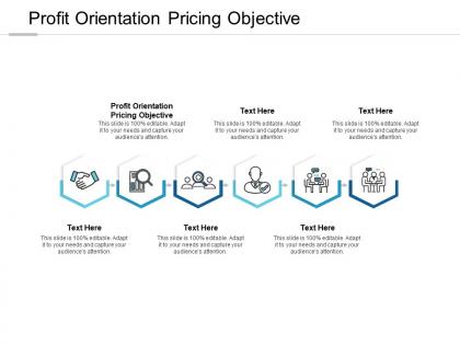 Profit orientation pricing objective ppt powerpoint presentation show designs cpb