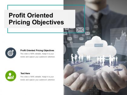 Profit oriented pricing objectives ppt powerpoint presentation infographics guide cpb