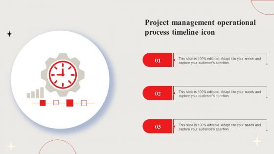 Project Management Operational Process Timeline Icon