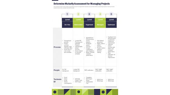 Project Management Playbook Determine Maturity Assessment For One Pager Sample Example Document