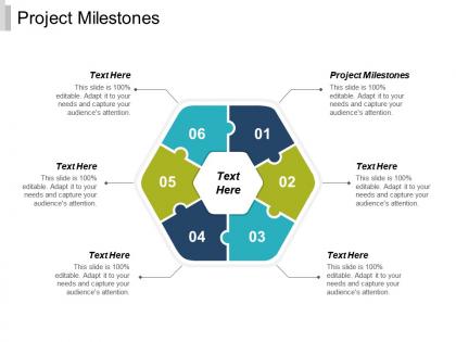 Project milestones ppt powerpoint presentation infographic template information cpb