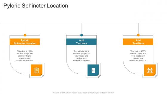 Pyloric Sphincter Location In Powerpoint And Google Slides Cpb