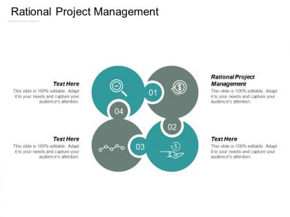 Rational project management ppt powerpoint presentation portfolio display cpb