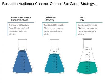 Research audience channel options set goals strategy monitor project