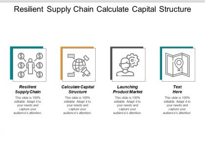 Resilient supply chain calculate capital structure launching product market cpb