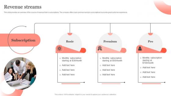 Revenue Streams Portable Printer Investor Fund Raising Pitch Deck