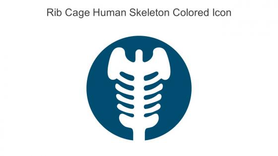 Rib Cage Human Skeleton Colored Icon In Powerpoint Pptx Png And Editable Eps Format