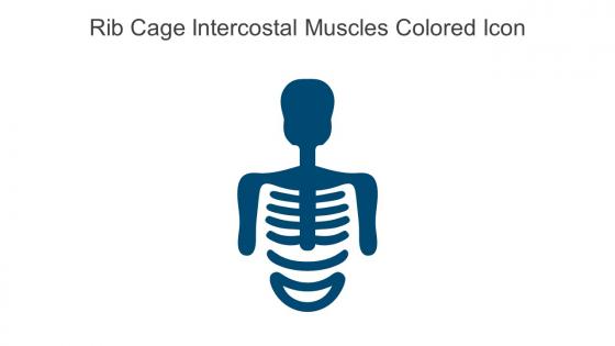 Rib Cage Intercostal Muscles Colored Icon In Powerpoint Pptx Png And Editable Eps Format