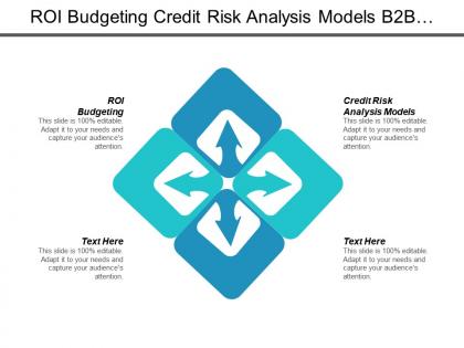 Roi budgeting credit risk analysis models b2b services cpb