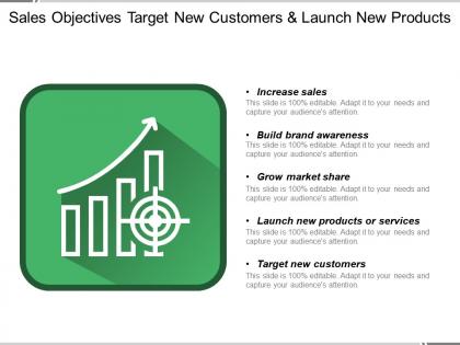 Sales objectives target new customers and launch new products