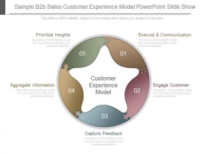 Sample b2b sales customer experience model powerpoint slide show